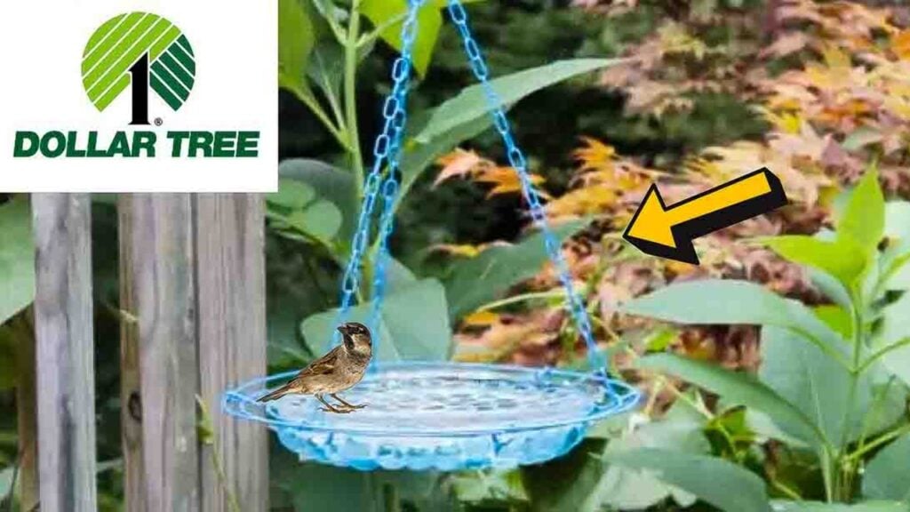Finished DIY Glass Bead Bird Bath, a completed DIY project