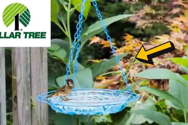 Finished DIY Glass Bead Bird Bath, a completed DIY project