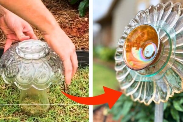 Finished DIY Glass Garden Flowers and Mushrooms, a completed DIY project