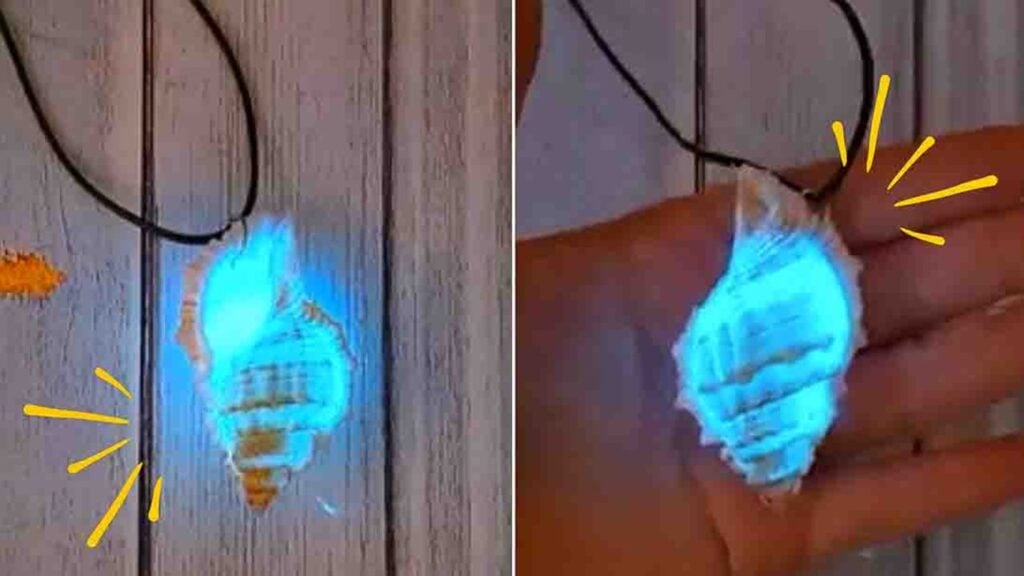 Finished DIY Glow-In-The-Dark Seashell, a completed DIY project