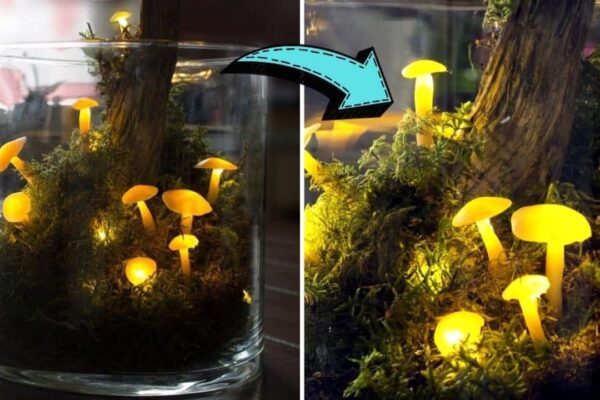 Finished DIY Glowing Mushrooms, a completed DIY project
