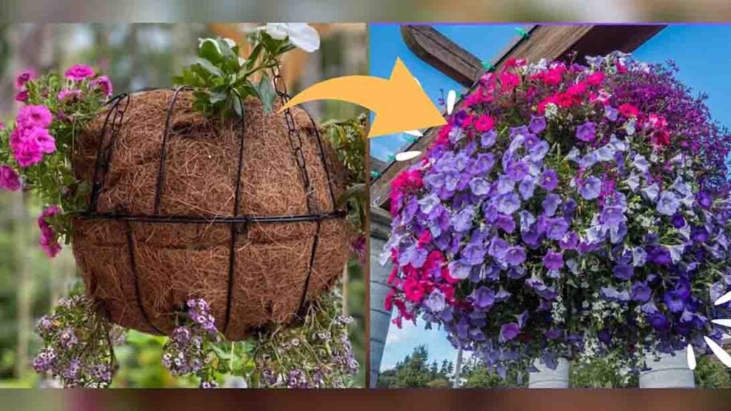 Finished DIY Hanging Flower Sphere Basket, a completed DIY project