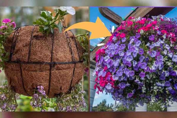 Finished DIY Hanging Flower Sphere Basket, a completed DIY project
