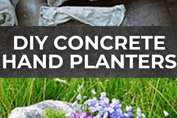 Finished DIY Concrete Hand Planters, a completed DIY project