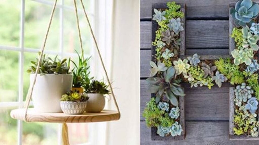 Finished 32 Creative DIY Succulent Crafts and DIYs, a completed DIY project