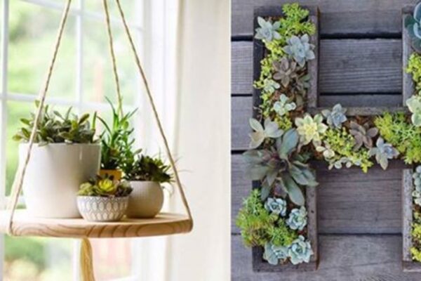 Finished 32 Creative DIY Succulent Crafts and DIYs, a completed DIY project