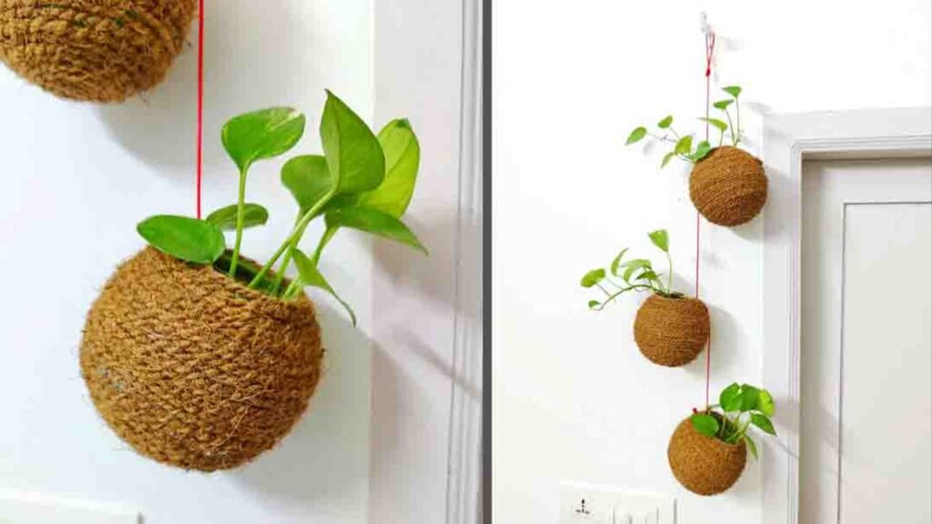 Finished DIY Indoor Ball Planter, a completed DIY project