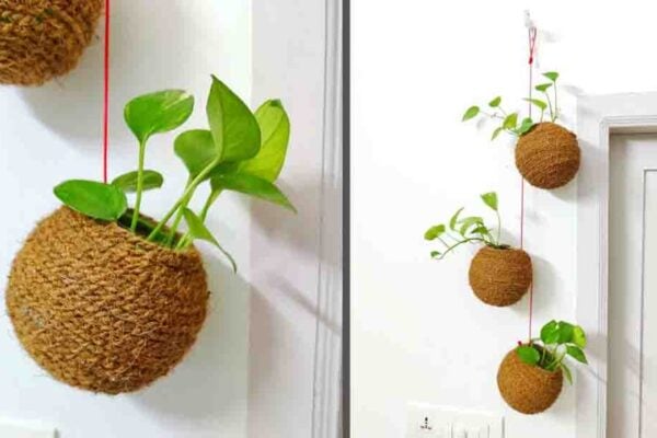 Finished DIY Indoor Ball Planter, a completed DIY project