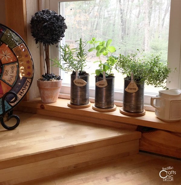 DIY Ideas With Tin Cans - Tin Can Herb Garden Planters - Upcycled Indoor Herb Garden DIY Ideas With Tin Cans - Tin Can Herb Garden Planters - Upcycled Indoor Herb Garden