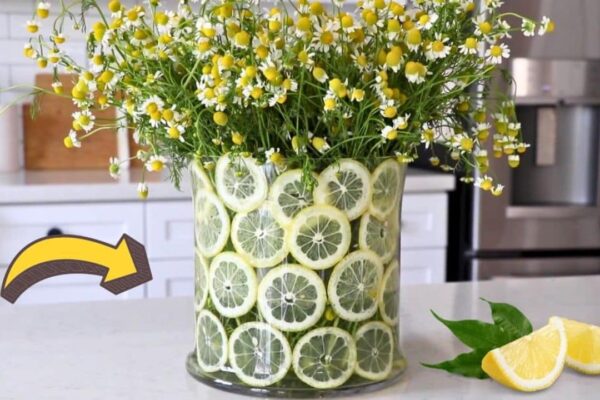 DIY Lemon Centerpiece Spring Decor, homemade and freshly served