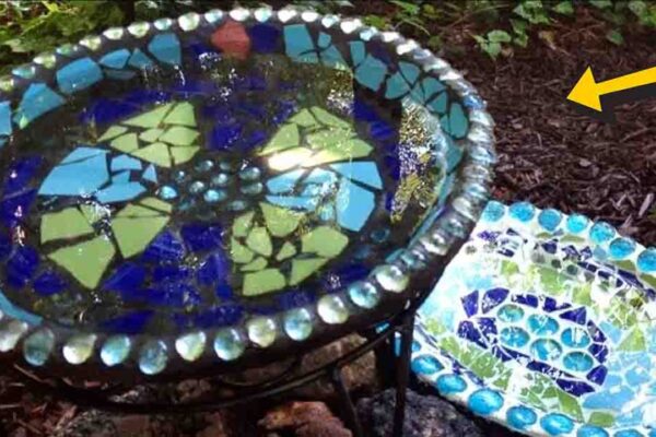 Finished DIY Mosaic Bird Bath, a completed DIY project
