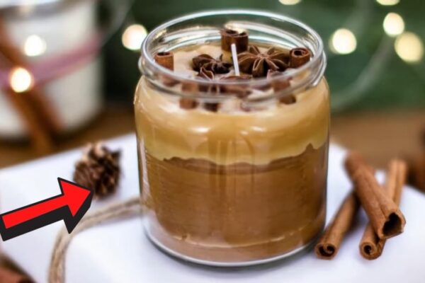 Finished DIY Natural Cinnamon Candle, a completed DIY project