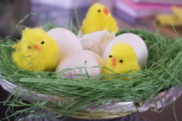 Finished DIY Newspaper Bird Nest, a completed DIY project