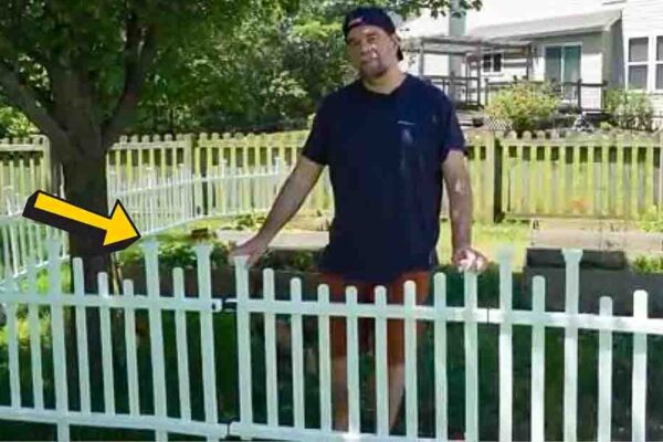 Finished DIY No-Dig Garden Fence, a completed DIY project