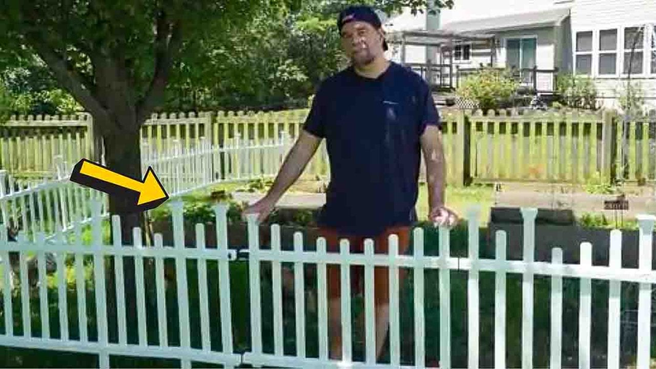 DIY no-dig garden fence, white fence panels being lifted into place on a lawn beside an existing fence and a house