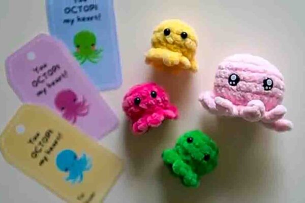 Finished DIY No-Sew Octopus Crochet, a completed DIY project