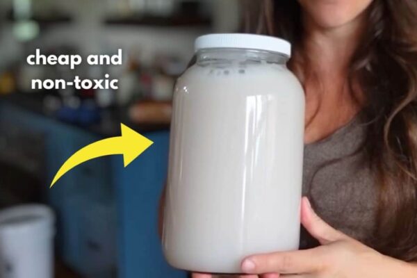 Finished DIY Non-Toxic Laundry Soap For Pennies, a completed DIY project