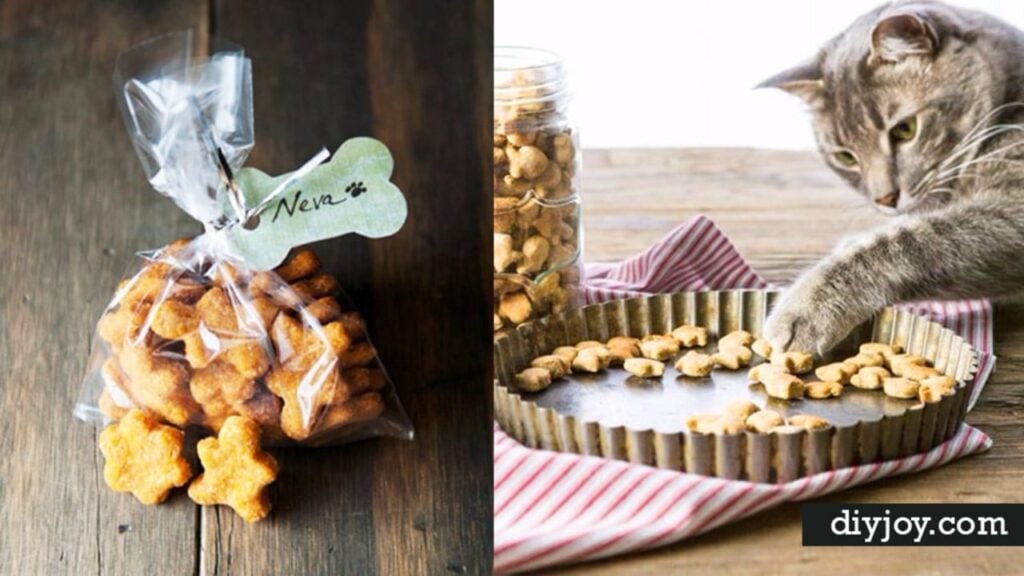 37 Homemade Pet Recipes For Dogs and Cats, homemade and freshly served