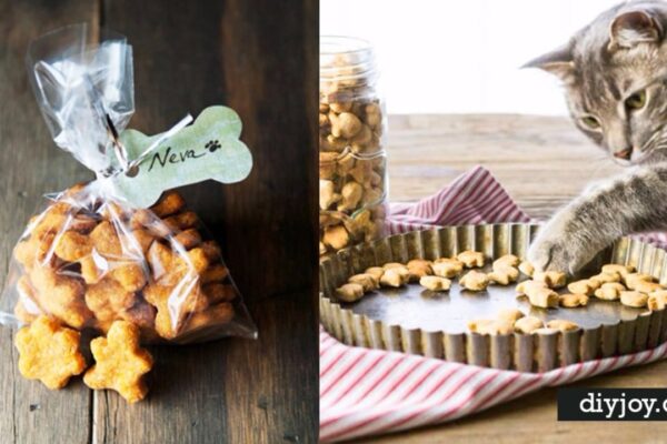 37 Homemade Pet Recipes For Dogs and Cats, homemade and freshly served