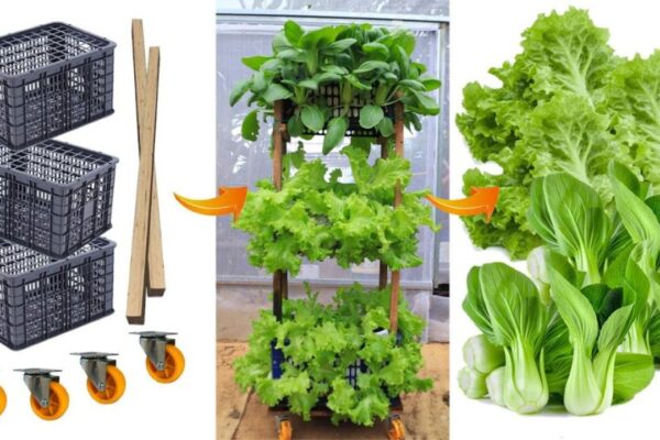 Finished DIY Plastic Basket Vegetable Tower, a completed DIY project