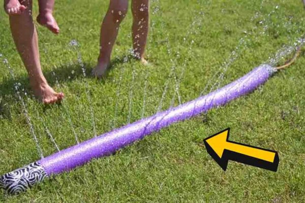 DIY Pool Noodle Sprinkler, homemade and freshly served