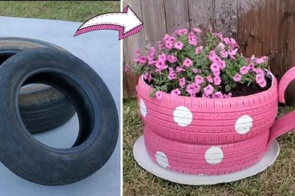Finished How To Turn Old Tires Into A Teacup Planter, a completed DIY project