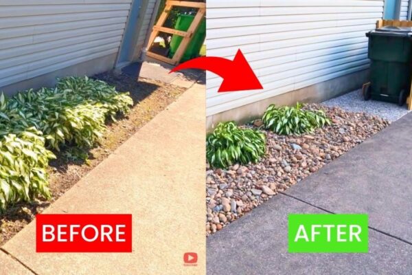 Finished DIY Rock Landscaping, a completed DIY project