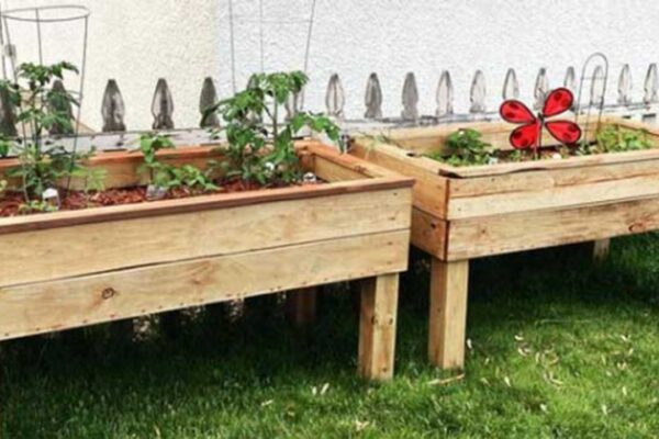 Finished DIY Self Watering Raised Planter Bed, a completed DIY project