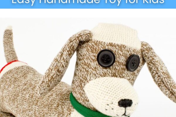 Finished DIY Sock Dachshund Dog, a completed DIY project