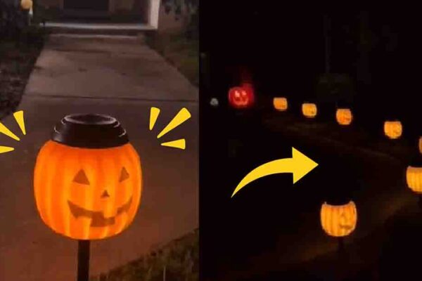 Finished DIY Solar Light Pumpkins, a completed DIY project