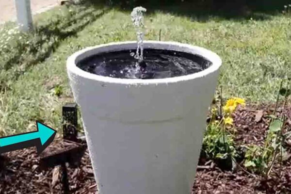 Finished DIY Solar Water Fountain on a Budget, a completed DIY project