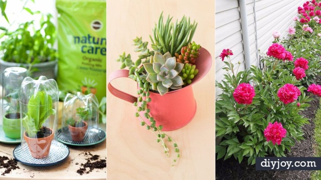 Finished 31 DIY Tips for Spring Gardening, a completed DIY project