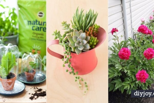 Finished 31 DIY Tips for Spring Gardening, a completed DIY project