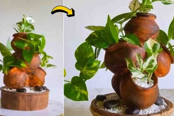 Finished DIY Tabletop Indoor Garden Using Small Clay Pots, a completed DIY project
