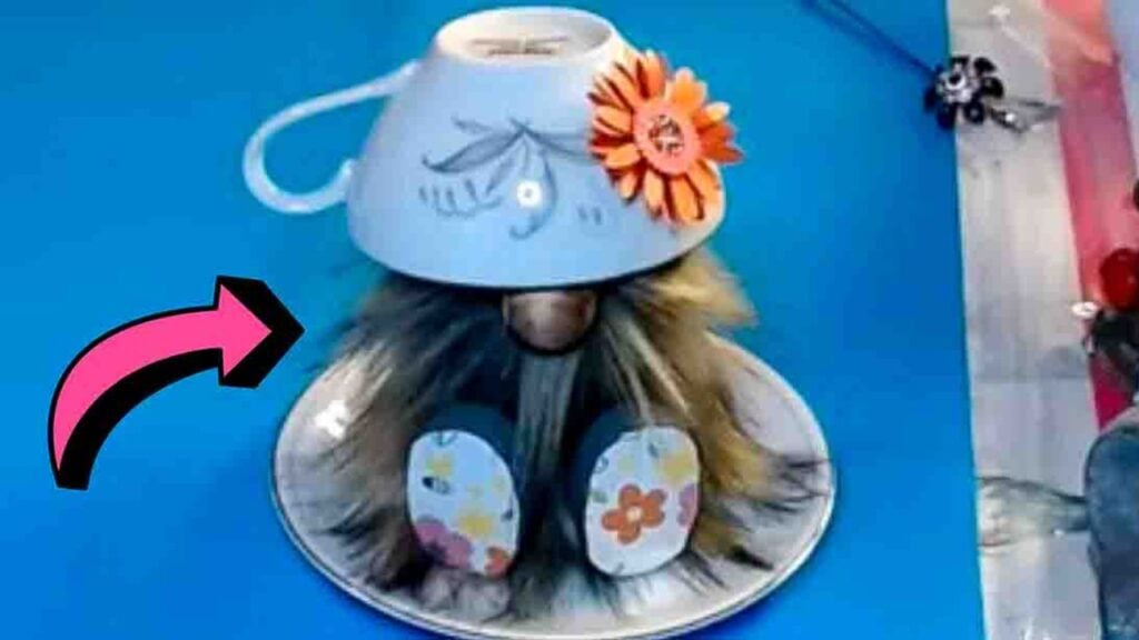 Finished DIY Teacup Gnome, a completed DIY project