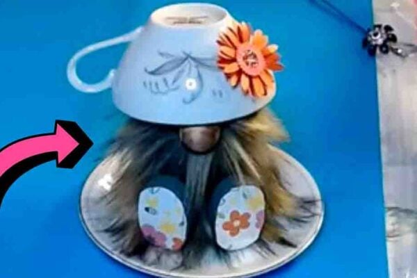 Finished DIY Teacup Gnome, a completed DIY project