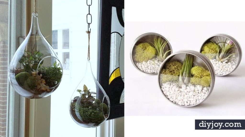 Finished 36 Impressive DIY Terrarium, a completed DIY project
