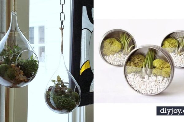 Finished 36 Impressive DIY Terrarium, a completed DIY project