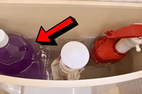 Finished DIY 24-Hour Toilet Freshener & Disinfectant, a completed DIY project