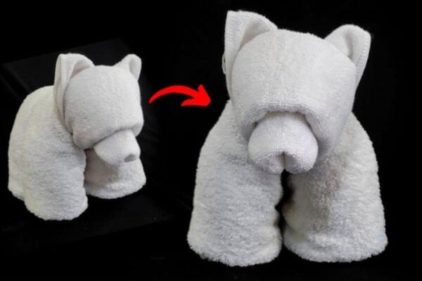 Finished a DIY Towel Bear, a completed DIY project