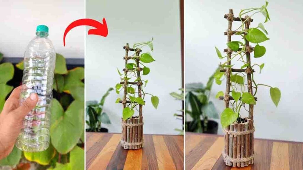 Finished DIY Twig Planter Using A Plastic Bottle, a completed DIY project