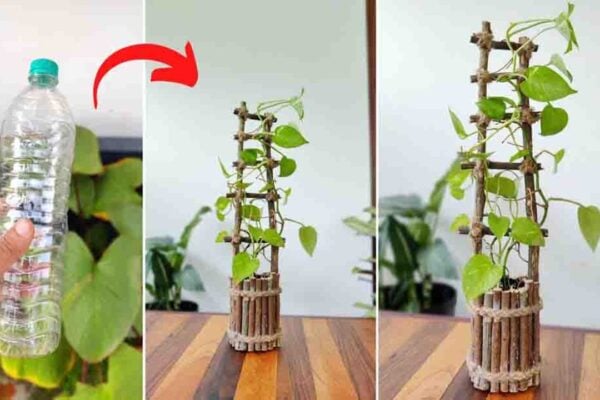 Finished DIY Twig Planter Using A Plastic Bottle, a completed DIY project