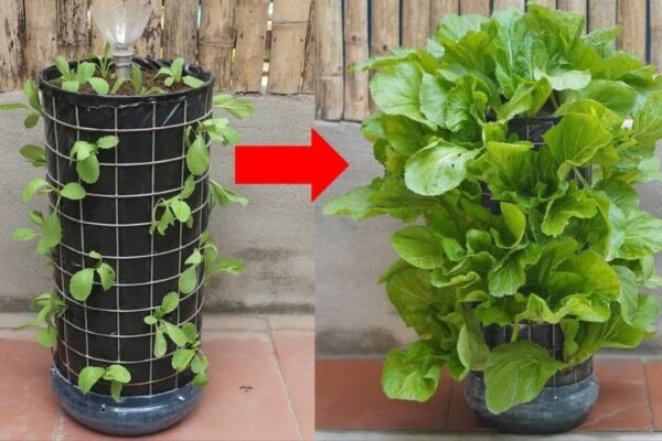 Finished DIY Vertical Garden for Vegetables With Automatic Watering System, a completed DIY project