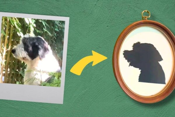 Finished DIY Vintage Pet Portrait, a completed DIY project
