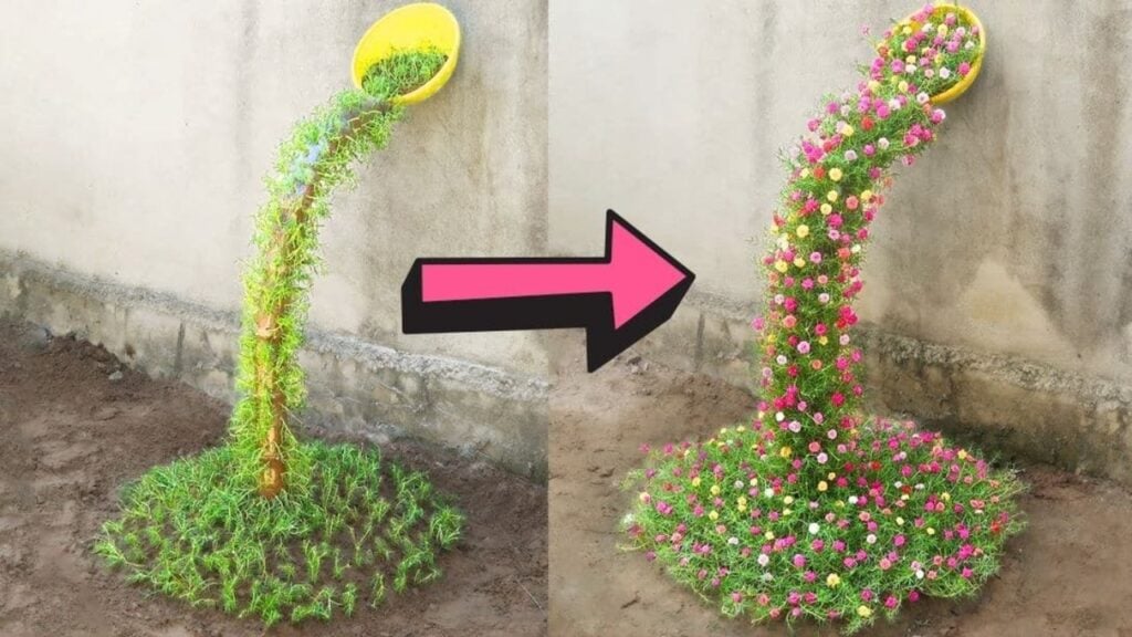 Finished DIY Waterfall Flower Garden, a completed DIY project