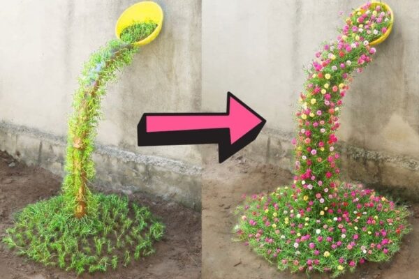 Finished DIY Waterfall Flower Garden, a completed DIY project