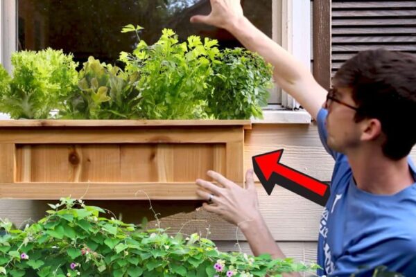 Finished DIY Window Planter Box, a completed DIY project