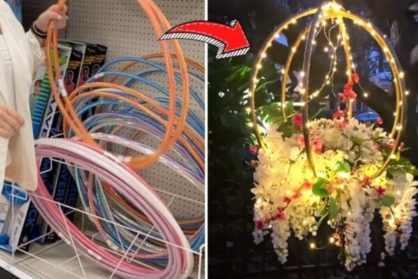 Finished Dollar Store DIY Hanging Hula Hoops Planter, a completed DIY project