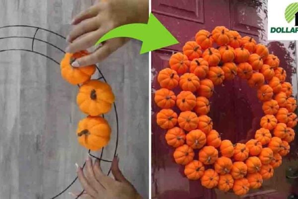 Finished Dollar Tree DIY Mini Pumpkin Wreath, a completed DIY project