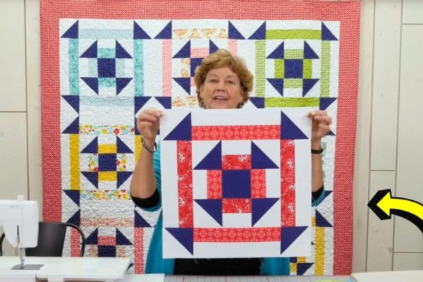 Finished Double Churn Dash Quilt With Jenny Doan, a completed DIY project